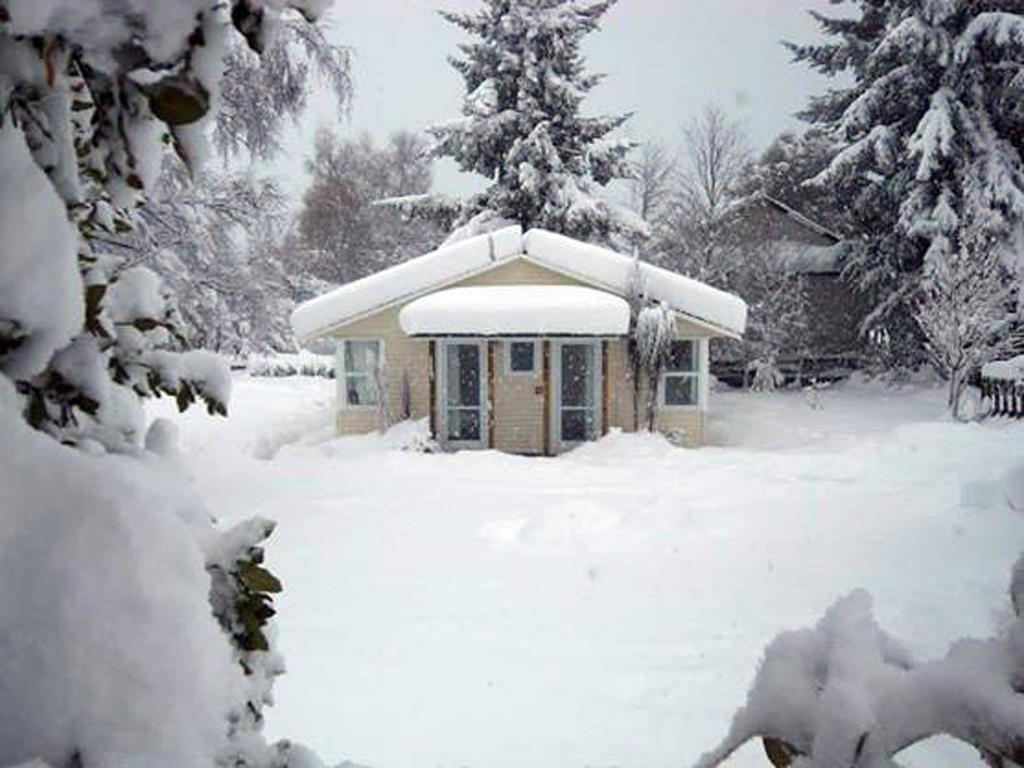 Tailor Made Tekapo Accommodation - Guesthouse & Hostel Lake Tekapo Rum bild